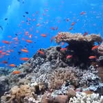 Thomas Böge - @dodgeone71 - Instagram