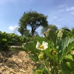 Biohof Thomas E. Bogner - @biohof_thomas_e_bogner - Instagram