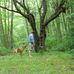 Tom Bogue - Facebook