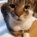 Thomas Bohnert - @thomas1324_ - Instagram