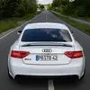 Thomas Boldt - @thomasboldt - TikTok