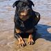 Tom Bolster - Facebook