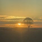 Thomas Bolt - @thomas_bolt - Instagram