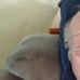 Thomas Bonafede - Facebook