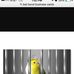 Angie Thomas Bail Bonds - Facebook