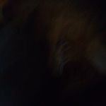 Thomas Bonfonti - @bonfontithomas - Instagram
