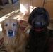Thomas Boock - Facebook