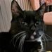 Thomas Borchers - Facebook