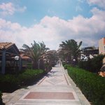 Thomas Borden - @scoopradioflea - Instagram
