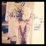 Thomas Borden - @platelot - Instagram