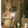 Thomas Borges - @thomasjef_12 - TikTok