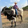 Thomas Borges - @thomas.borges50 - TikTok