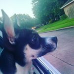Pascal Thomas Borja 🐕 - @pascalborja16 - Instagram
