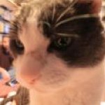 Thomas Borkowski - @borkowskihome - Instagram