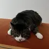 Thomas Börner - @boernson - TikTok