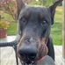 Thomas Borst - Facebook
