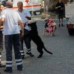 Thomas Boschert - @thomasboschert - Instagram