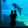 Thomas Botta 15 - @thomas.botta.15 - TikTok