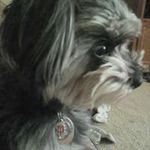 Thomas Sherman Botts - @thomasbotts - Instagram