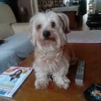 Thomas Bagard - Facebook