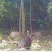 Thomas Boudreaux - Facebook