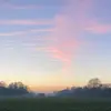 Thomas Bourke775 - @ipitomb - TikTok