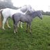 Tom Bourke - Facebook