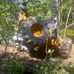 Thomas Bowlin - Facebook