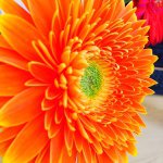 Thomas Bowlin Photography - @thomasbowlinphoto - Instagram