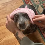 Thomasin Boyarko - @thomasinboyarko - Instagram