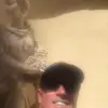 Thomas Boyes798 - @thosboyes - TikTok