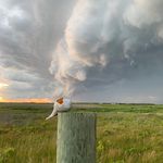 Thomas Boyes - @nantucketfineartprints - Instagram