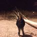 Thomas Boyette - Facebook