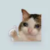 Thomas Boyette - @thomasboyette3597 - TikTok