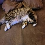 Thomas Braasch - @tcrp1202 - Instagram