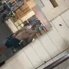 Braden Thomas - @bradenthomas - TikTok
