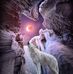 Thomas Braley - Facebook