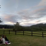 Thomas Brame - @greenecountygreenthumb - Instagram