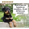 thomasbrame1 - @thomasbrame1 - TikTok