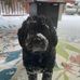 Tom Brancheau - Facebook