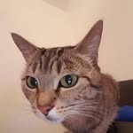 Thomas Brands - @thomas.brands - Instagram