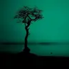 Thomas Brannan - @thomas.brannan - TikTok
