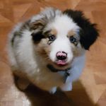 Thomas bratcher - @bratcher5868 - Instagram
