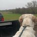 Tom Bratton - Facebook