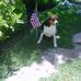 Thom Bratz - Facebook