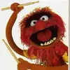 Thomas Brauner - @thomas.brauner0 - TikTok
