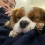 Thomas Breese - @thomas_breese - Instagram
