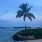 Thomas Breitbach - @breitbach791 - Instagram