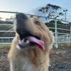 thomasbrito33 - @thomasbrito33 - TikTok