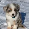 Thomas - @thomas.brod - TikTok